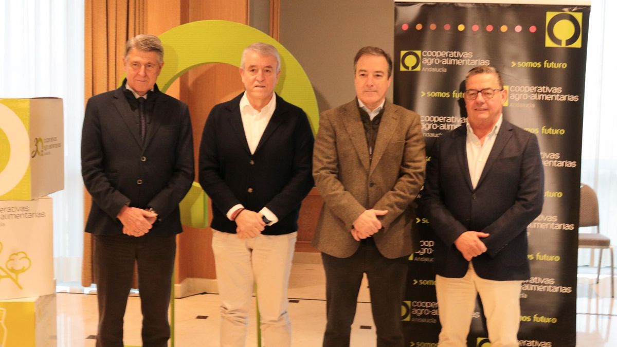 Menos aceitunas y más amenaza exterior: Andalucía clama por medidas "urgentes" y mantendrá la marcha del 29 de enero