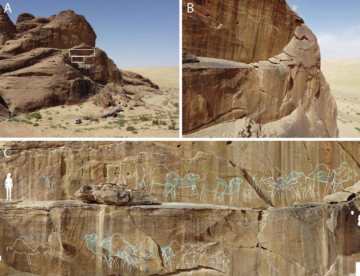 Vista panorámica de algunos de los grabados