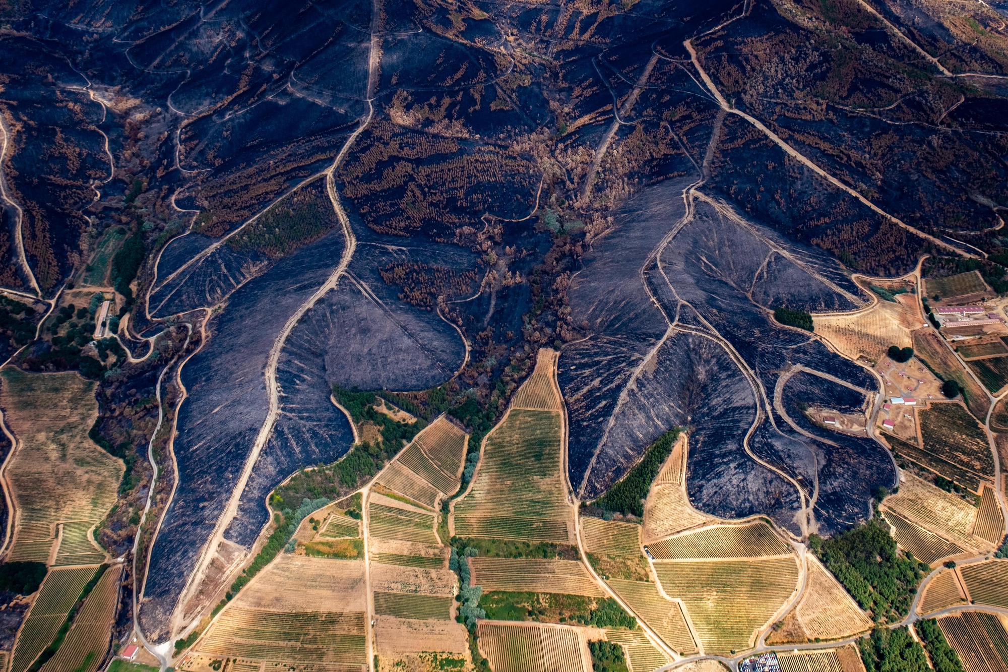 30 agosto 2025. Albarellos. Ourense. Greenpeace/ Pedro Armestre