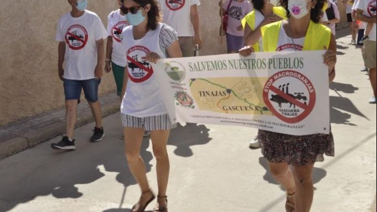 Gascueña y Tinajas se rebelan contra una macrogranja porcina y apuestan por la ganadería extensiva "sostenible y productiva"