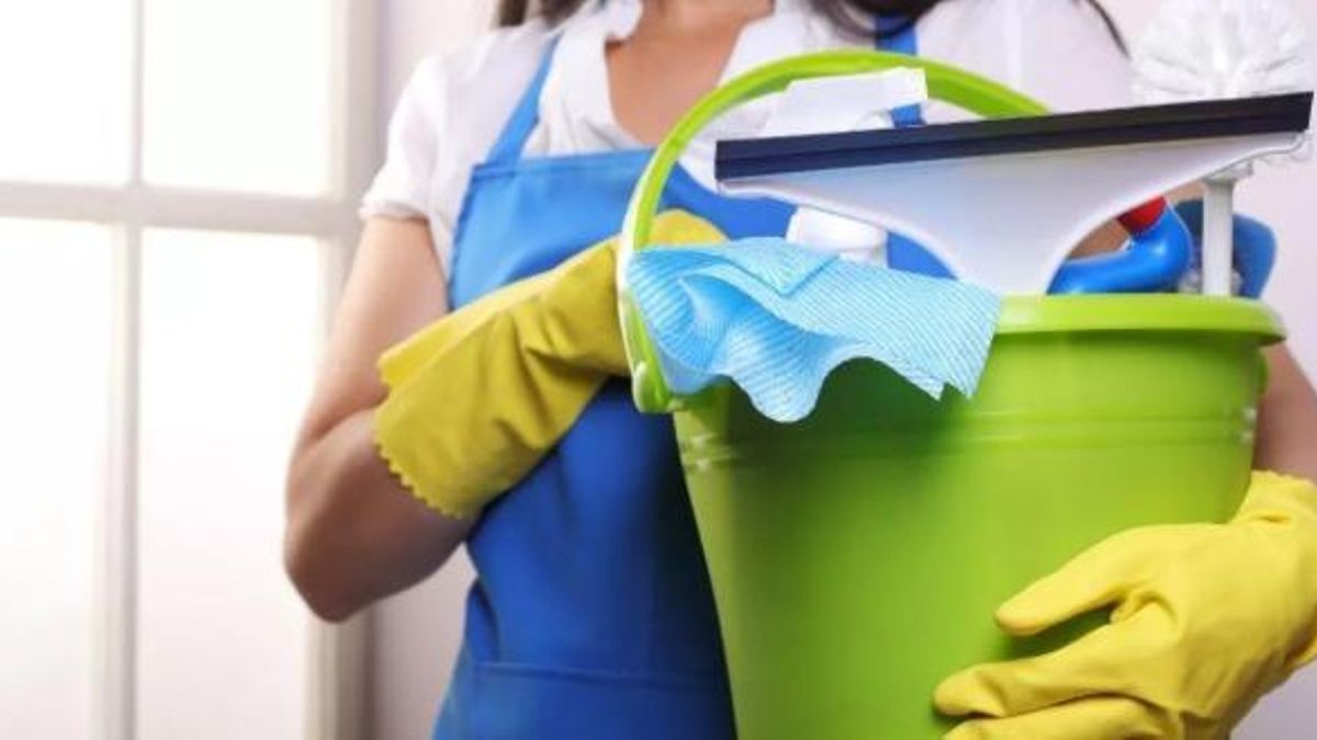 Subsidio extraordinario por desempleo en empleadas del hogar.