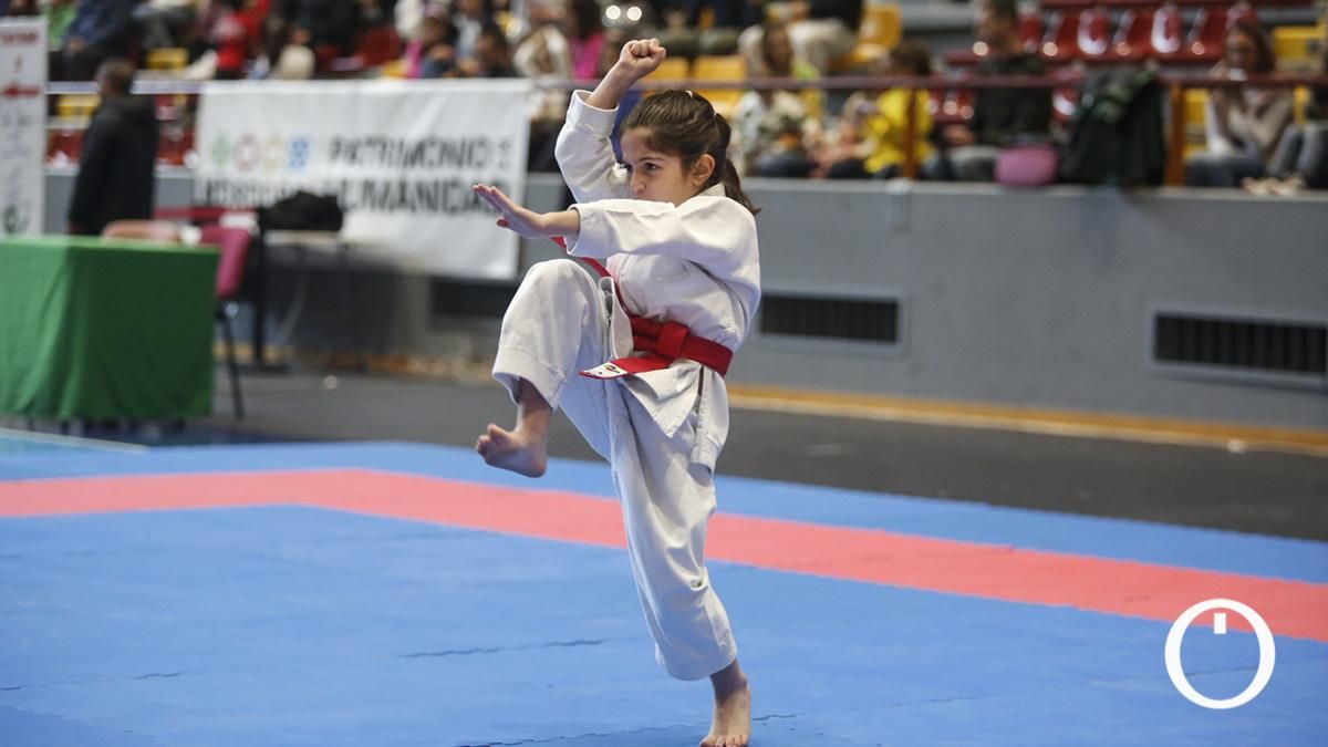 Campeonato de Andalucía Infantil y Juvenil de kárate