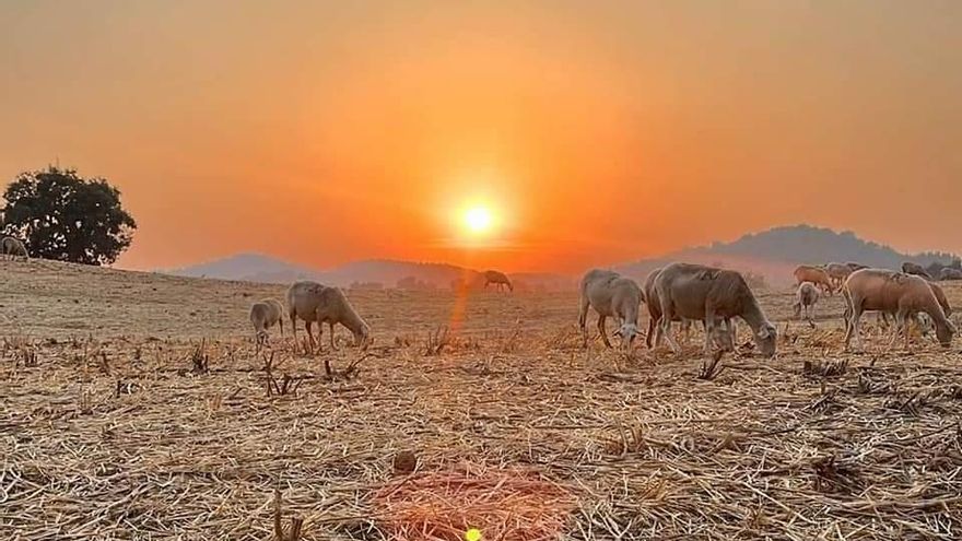 El relevo generacional en la agricultura española