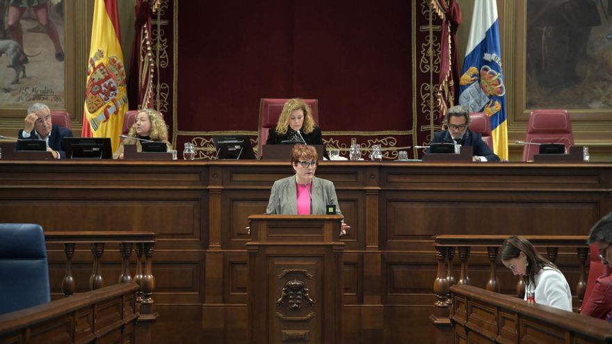 El Parlamento de Canarias aprueba el decreto de dependencia pero rechaza las propuestas de NC y PSOE de mejorarlo