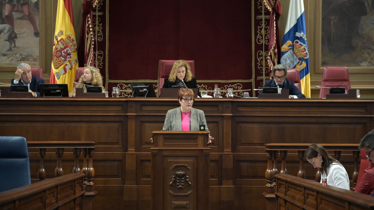 El Parlamento de Canarias aprueba el polémico decreto de dependencia pero rechaza las propuestas de NC y PSOE de mejorarlo