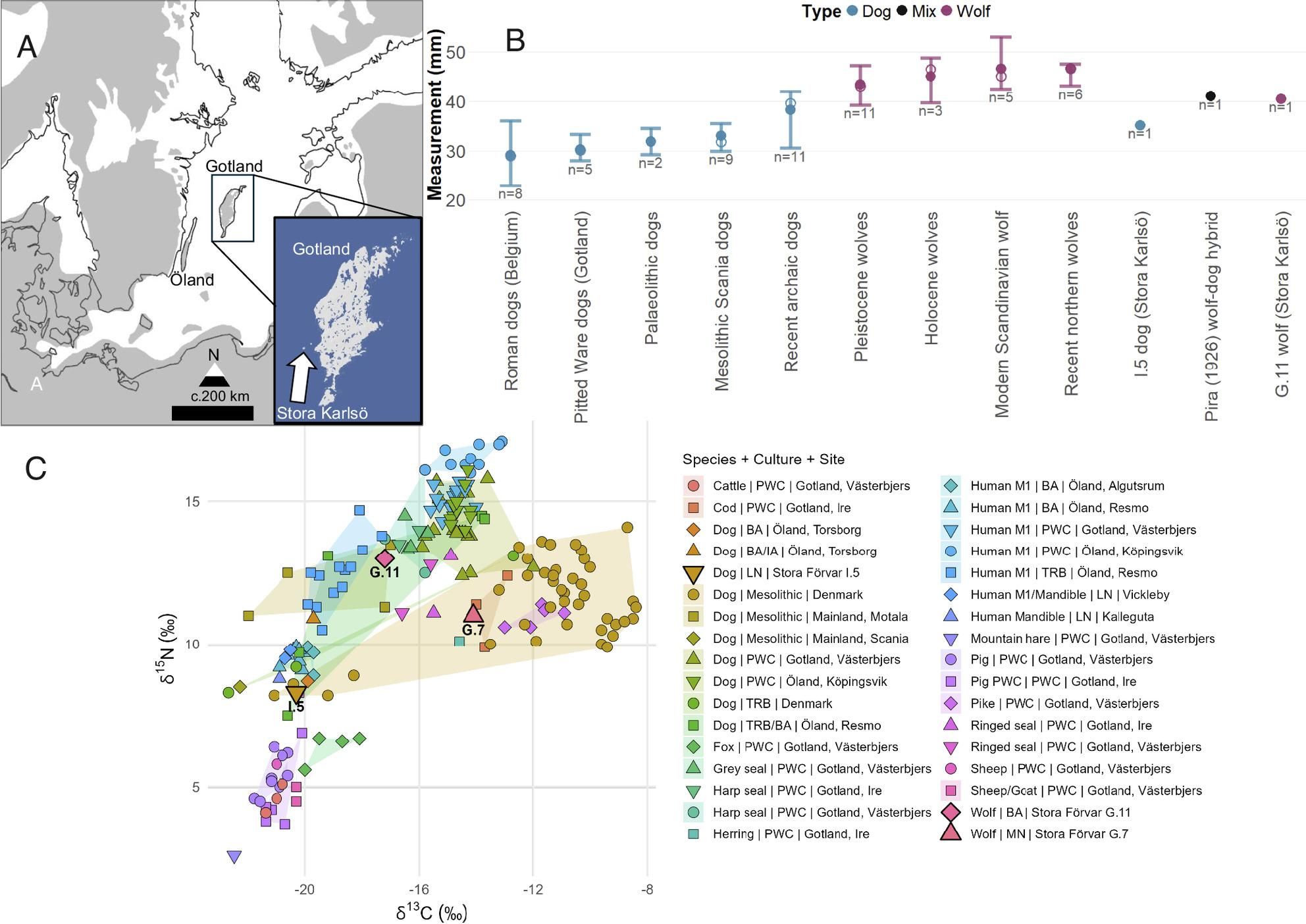 Mapa que muestra la ubicación de Gotland, Stora Karlsö y Öland en el mar Báltico.