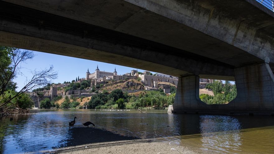 Ecologistas en Acción no acudirá a la Mesa del Agua de Castilla-La Mancha porque "solo tiene fines políticos"