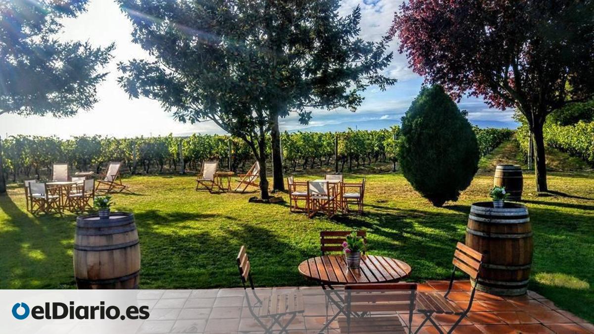 La DOCa Rioja, principal destino enoturístico de España