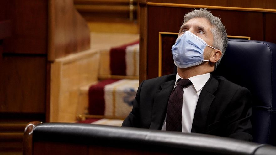 El ministro de Interior, Fernando Grande-Marlaska, en el Pleno del Congreso