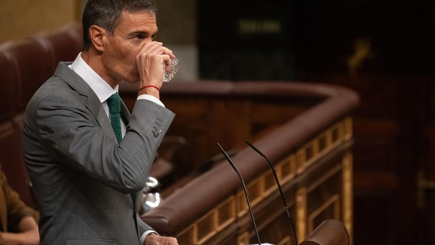 El presidente del Gobierno, Pedro Sánchez, interviene durante una sesión plenaria en el Congreso de los Diputados.