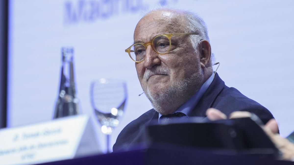 Pere Navarro, director de la DGT: "Al centro no vas en coche eléctrico ni en diesel, vas a ir con transporte público"