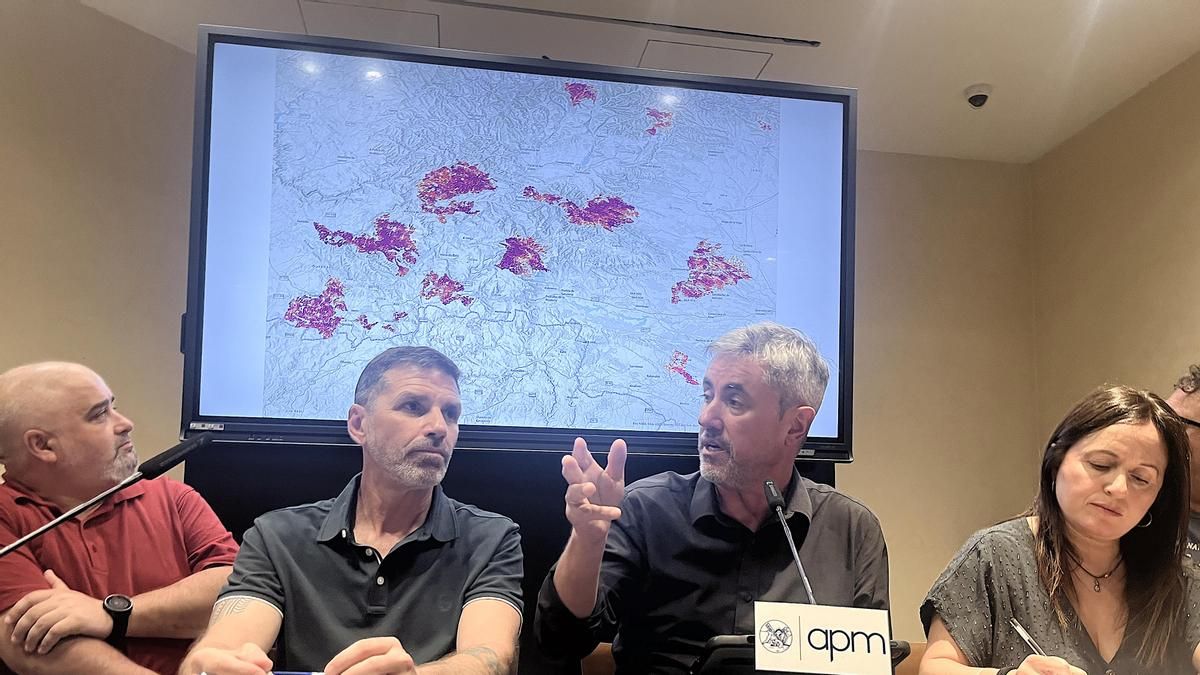 De izquierda a derecha, los especialistas en fuegos Ferrán Dalmau, Juan Caamaño, Joaquín Ramírez y Mónica Parrilla, durante la comparecencia.