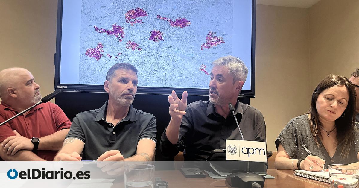 Los mayores expertos en incendios exigen a los políticos que escuchen sus propuestas: “Lo que viene es mucho peor”