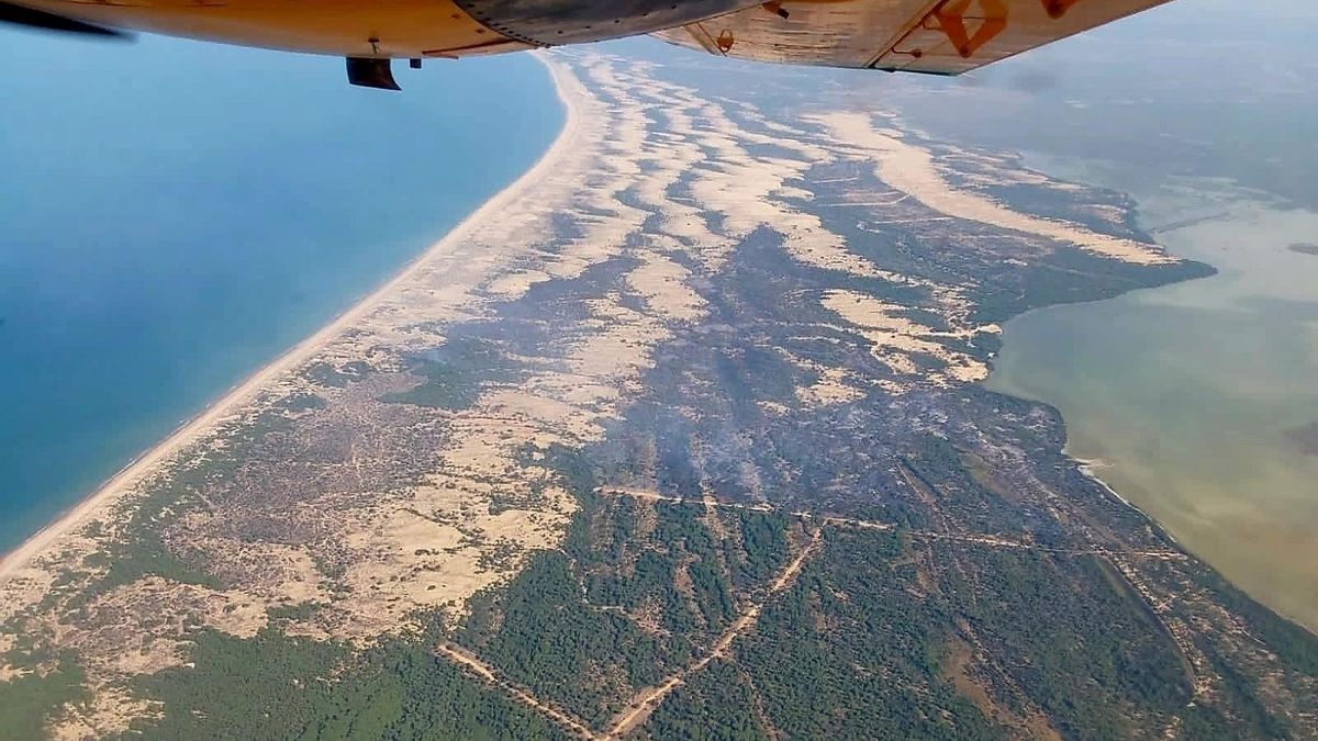 La izquierda pide explicaciones a la Junta por el "apagón informativo" y la falta de medios contra el fuego en Doñana
