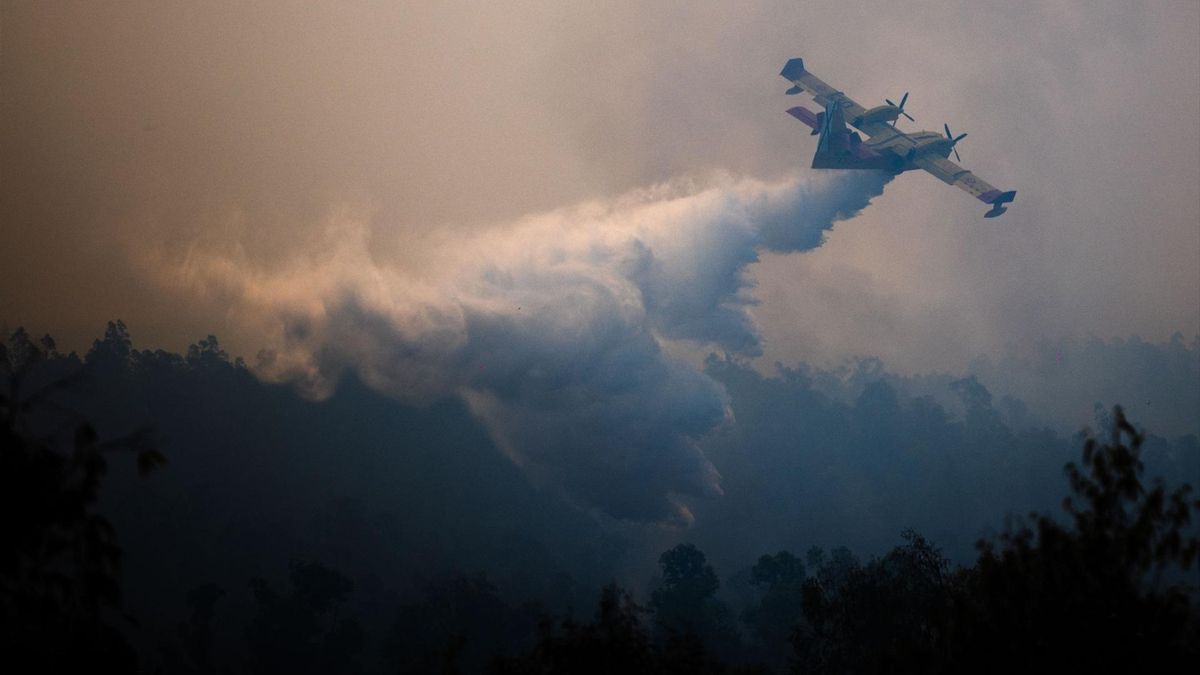 El incendio de Niebla está "fuera de la capacidad de extinción" por un viento que hasta pone en "riesgo" a los bomberos