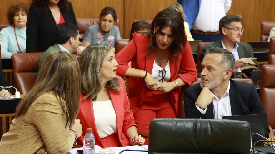 El PSOE andaluz se revuelve para sobrevivir al caso Cerdán a un año para las elecciones: "La corrupción nos da asco"