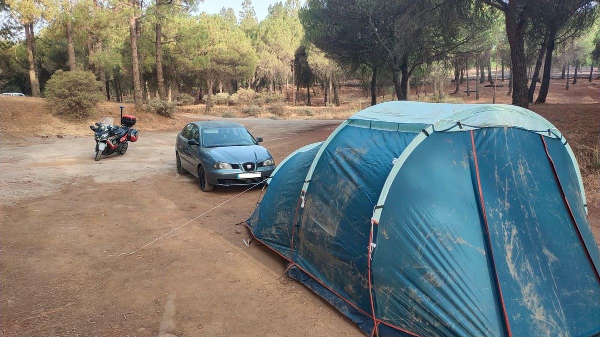 Intervención de la Policía Autonómica en zona forestal de Gran Canaria