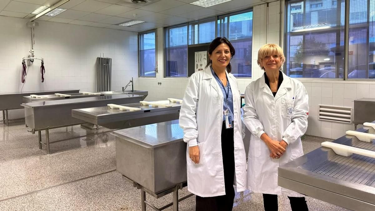 Las donaciones de cuerpos escasean en las facultades de Medicina: "No es igual un programa virtual que verlo en la realidad"