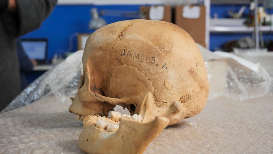 Huesos encontrados en Los Jameos del Agua (Lanzarote)