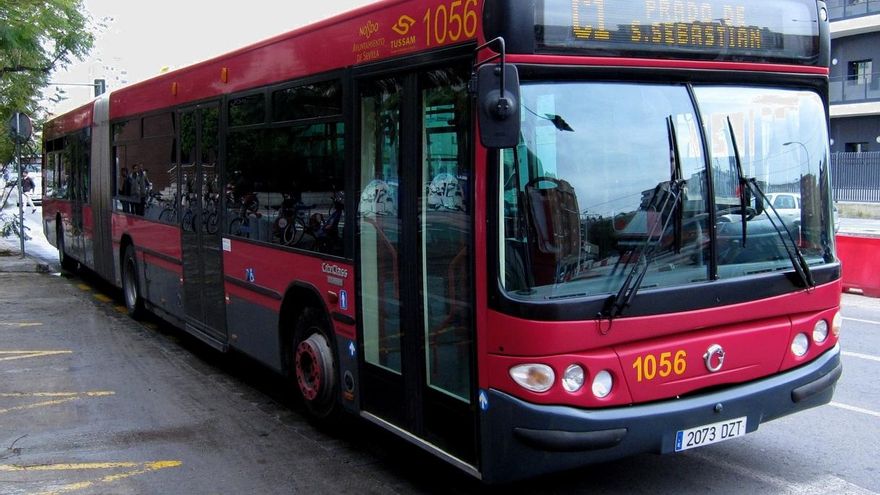 Participa pide ejecutar el acuerdo de octubre para estudiar la gratuidad de los menores de diez años en Tussam