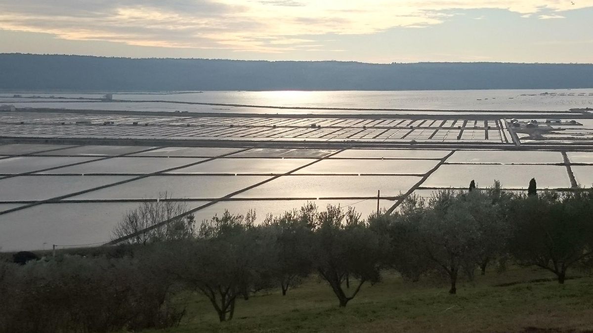 Atardecer en las Salinas de Sečoveljske. Este es uno de los humedales más importantes del norte del Adriático.