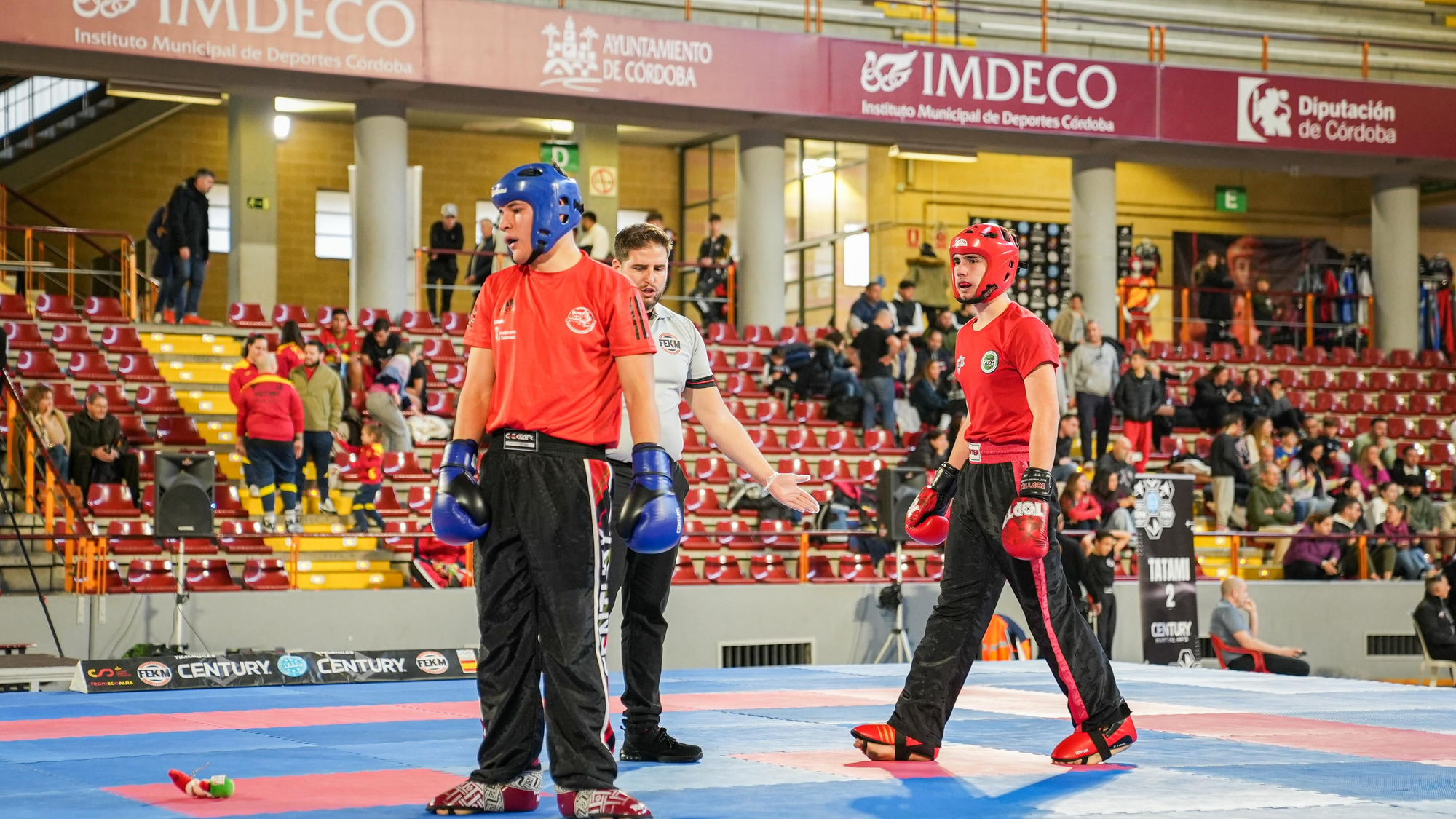 Kickboxing Stars League