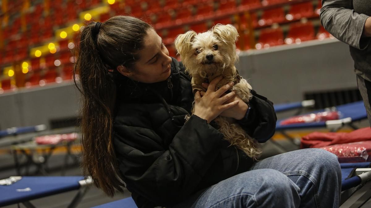 Familias en el dispositivo de Cruz Roja de Vista Alegre