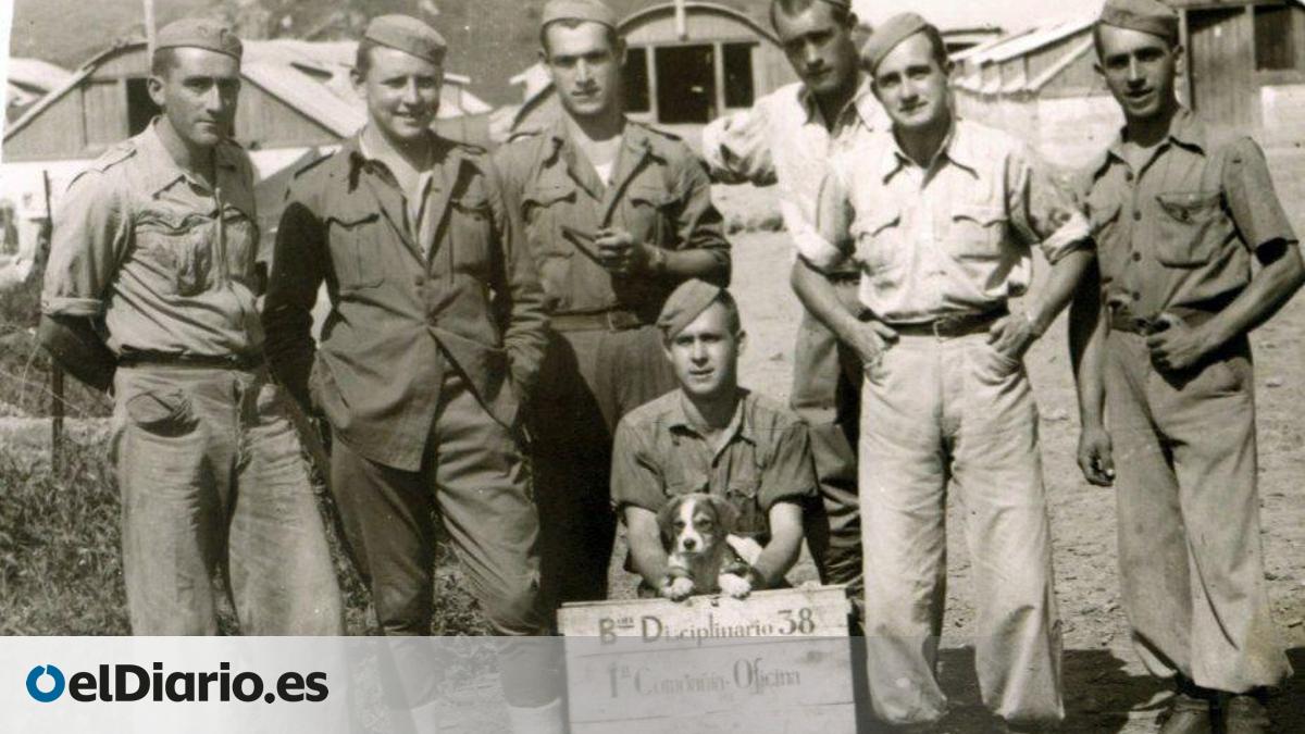 Familias de prisioneros republicanos presentan la primera querella por ...