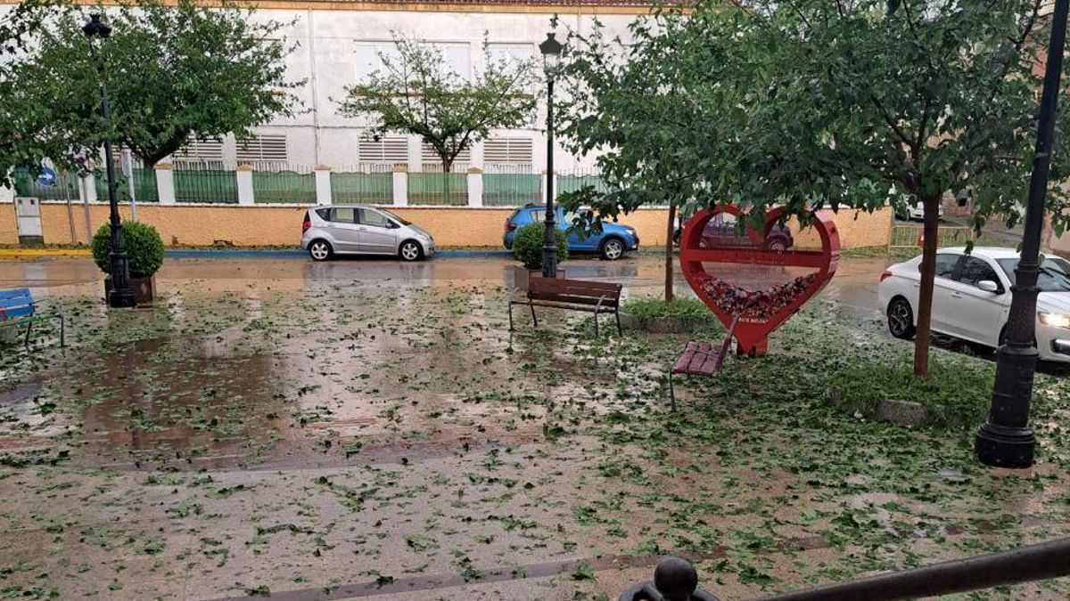 El Gobierno regional amplía el METEOCAM a las provincias de Toledo, Ciudad Real y Guadalajara