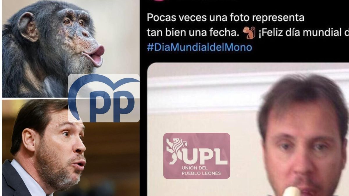 Ester Muñoz (PP) defiende comparar a Óscar Puente con un primate después de verlo "lamentable" al hacerlo UPL