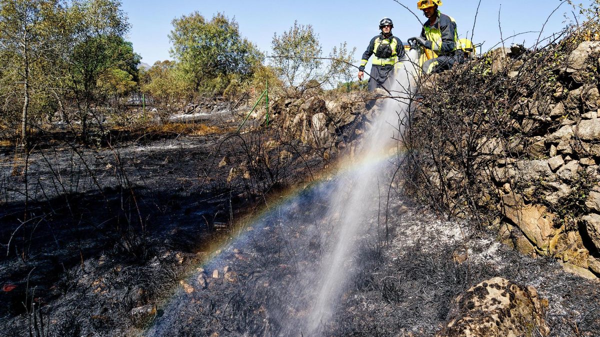 Efectivos luchan contra las llamas del incendio forestal declarado en el término municipal de Navaluenga