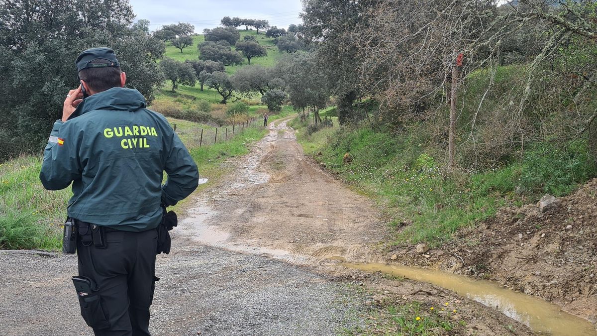 El cuerpo calcinado e irreconocible de una persona ha aparecido a primera hora de esta mañana en un camino del término municipal de Almadén (Ciudad Real). EFE/Miguel Ángel Risco