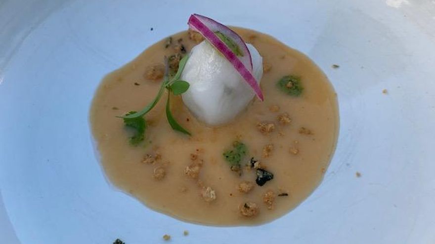 Dumpling sama roquera