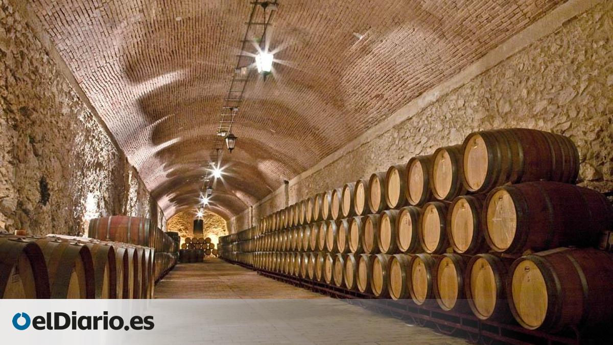 Las ‘Notas del Vino’, conciertos solidarios y enoturismo en Valdepeñas hasta julio