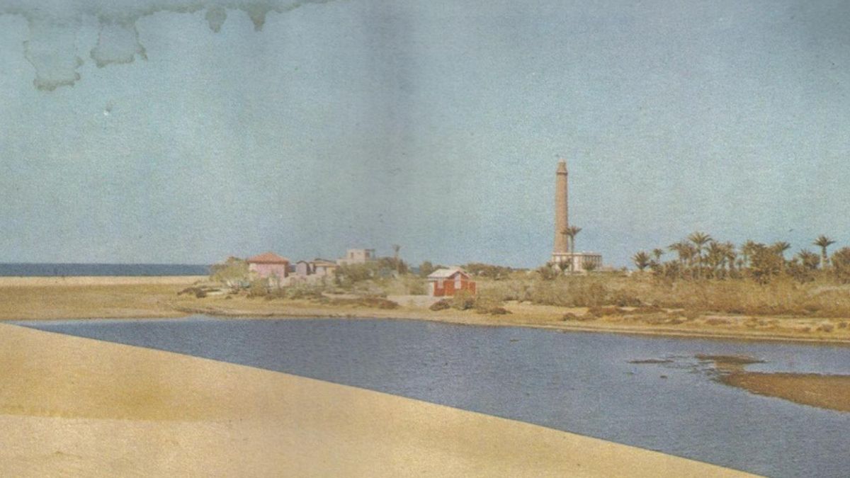 Imagen de Maspalomas y su oasis en 1961.