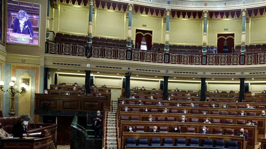 La diputada del grupo socialista y exministra María Luisa Carcedo (i) durante su intervención en el pleno del Congreso. EFE/Zipi
