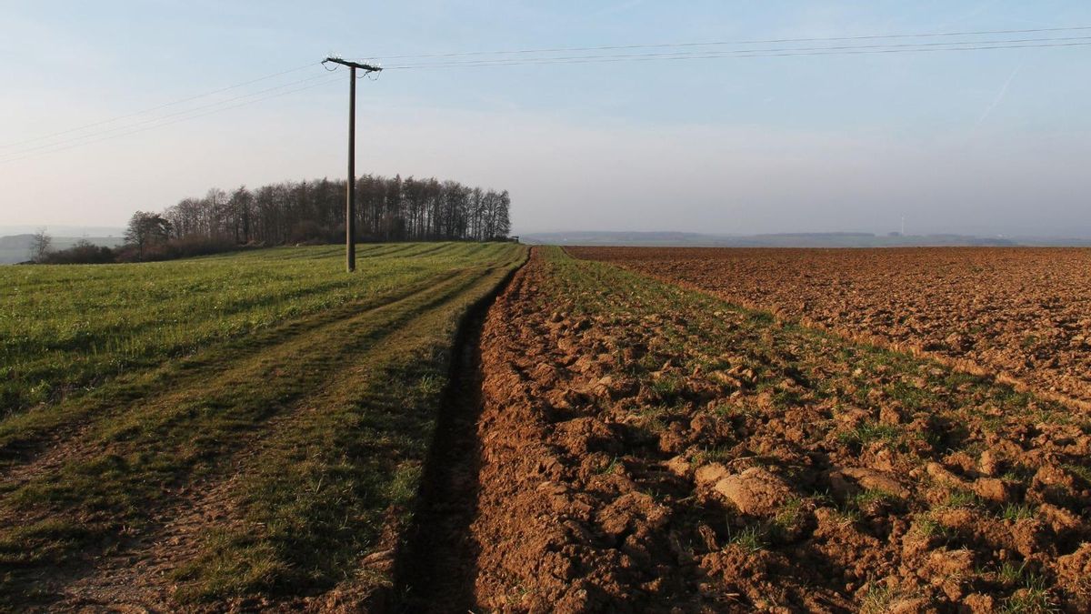 La concentración parcelaria en Aragón: entre proyectos estancados y demandas del campo