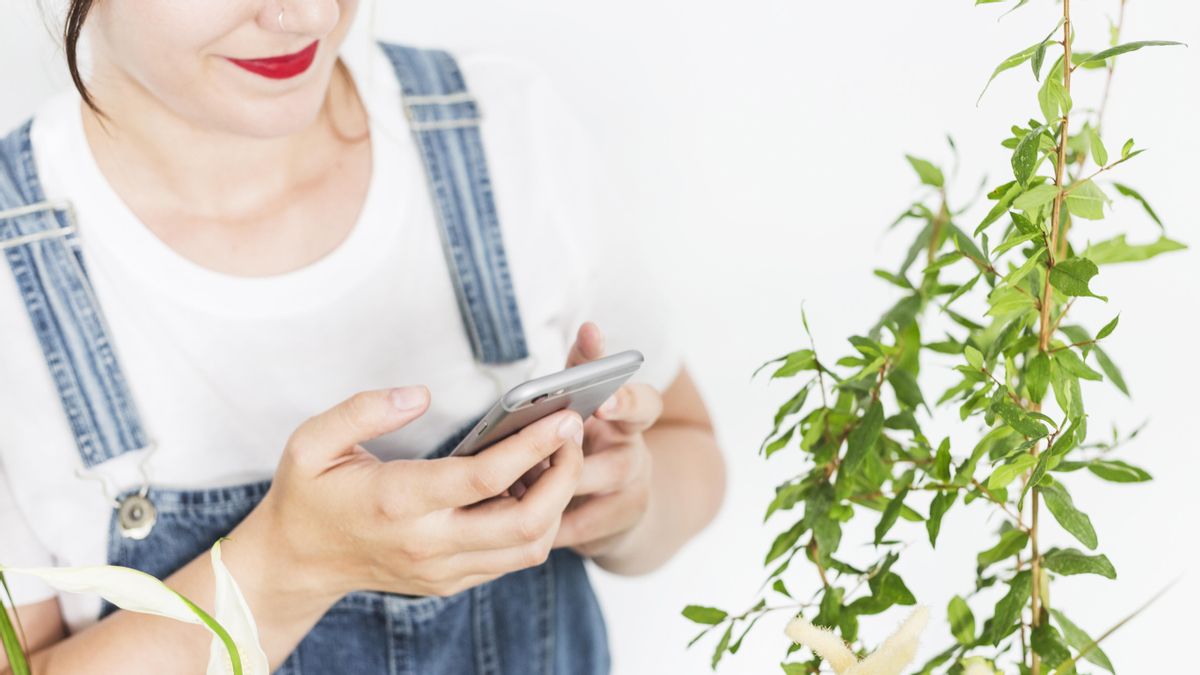 Una solución para que tus plantas no mueran mientras estás de vacaciones: regar con el móvil