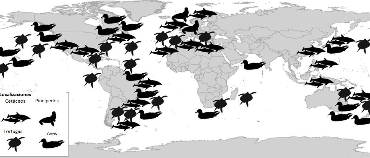 Las localizaciones de fauna afectada para el estudio se expanden por todo el globo / CSIRO Conservation Letters.