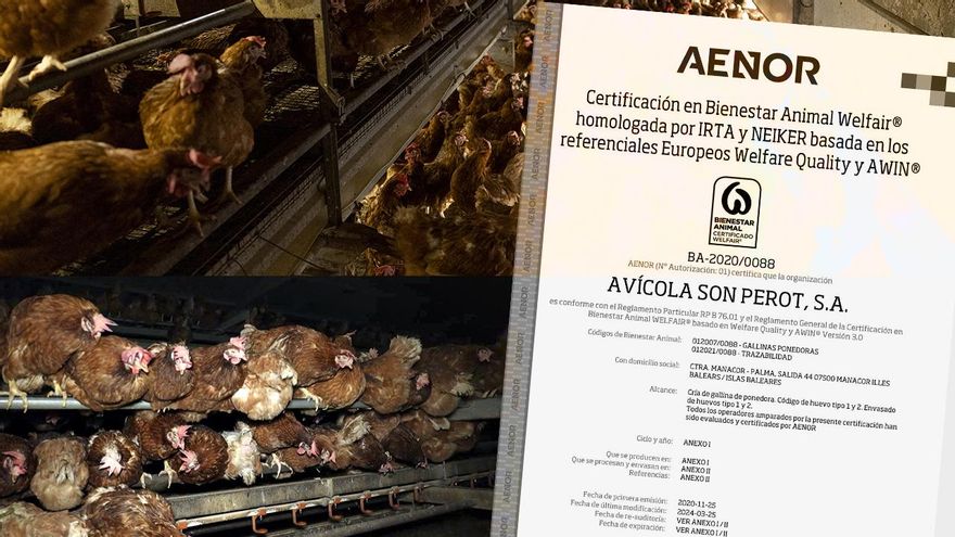 AENOR ofreció a la 'granja de los horrores' de Mallorca pactar la fecha de la auditoría de “bienestar animal” que fue favorable