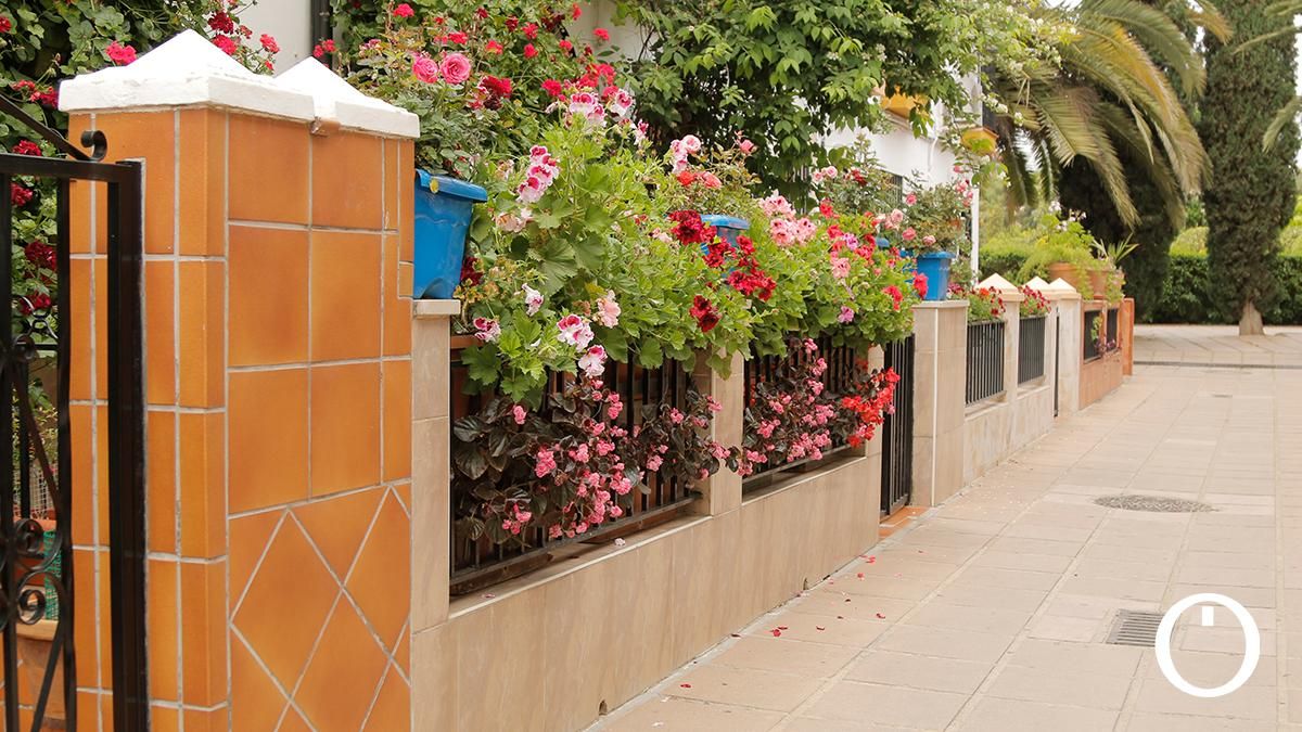 Rejas y Balcones en la C/ Manuel Soro Tinte, 3