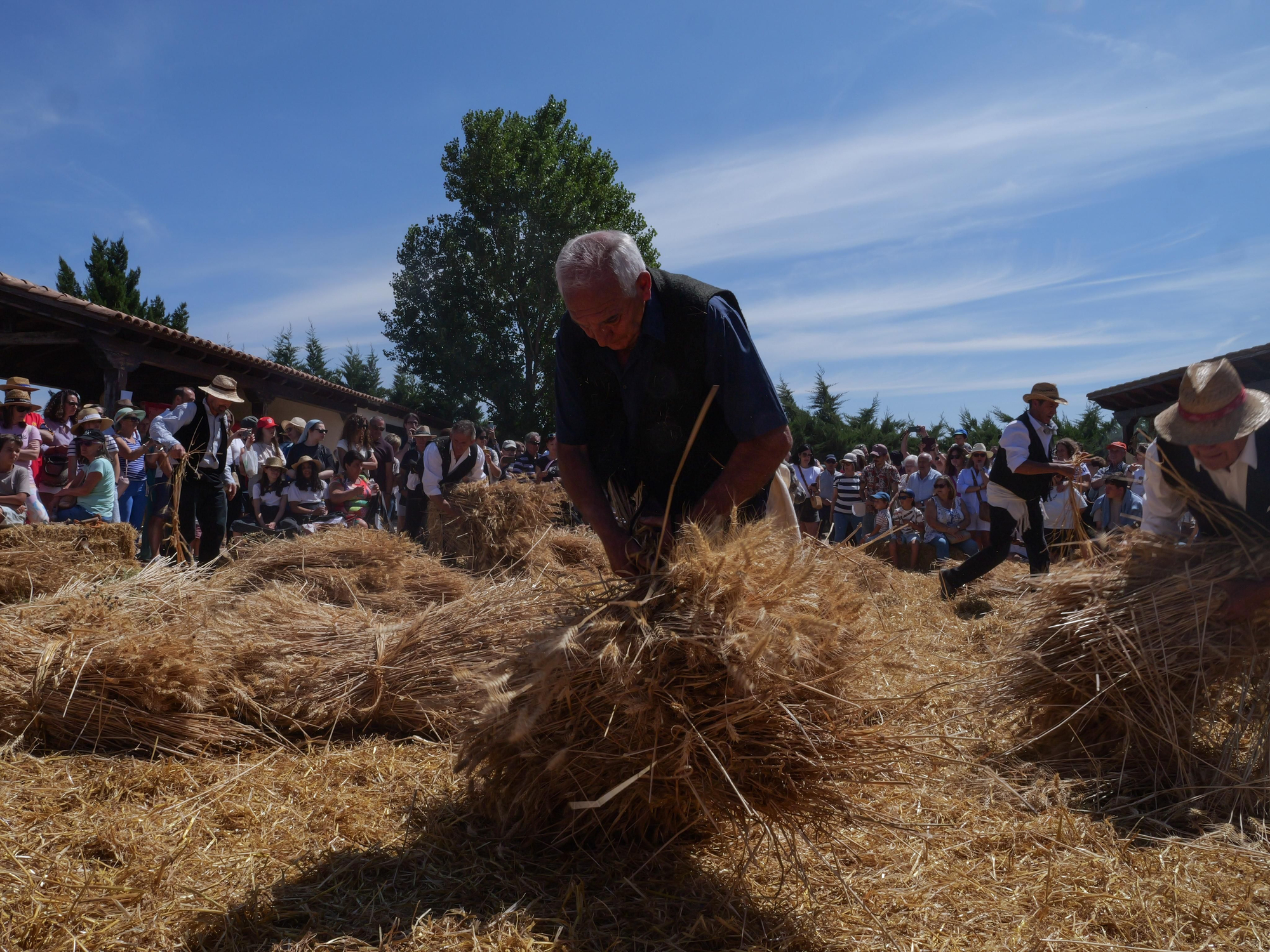 Las imágenes de la Fiesta de la Molienda de Ocón