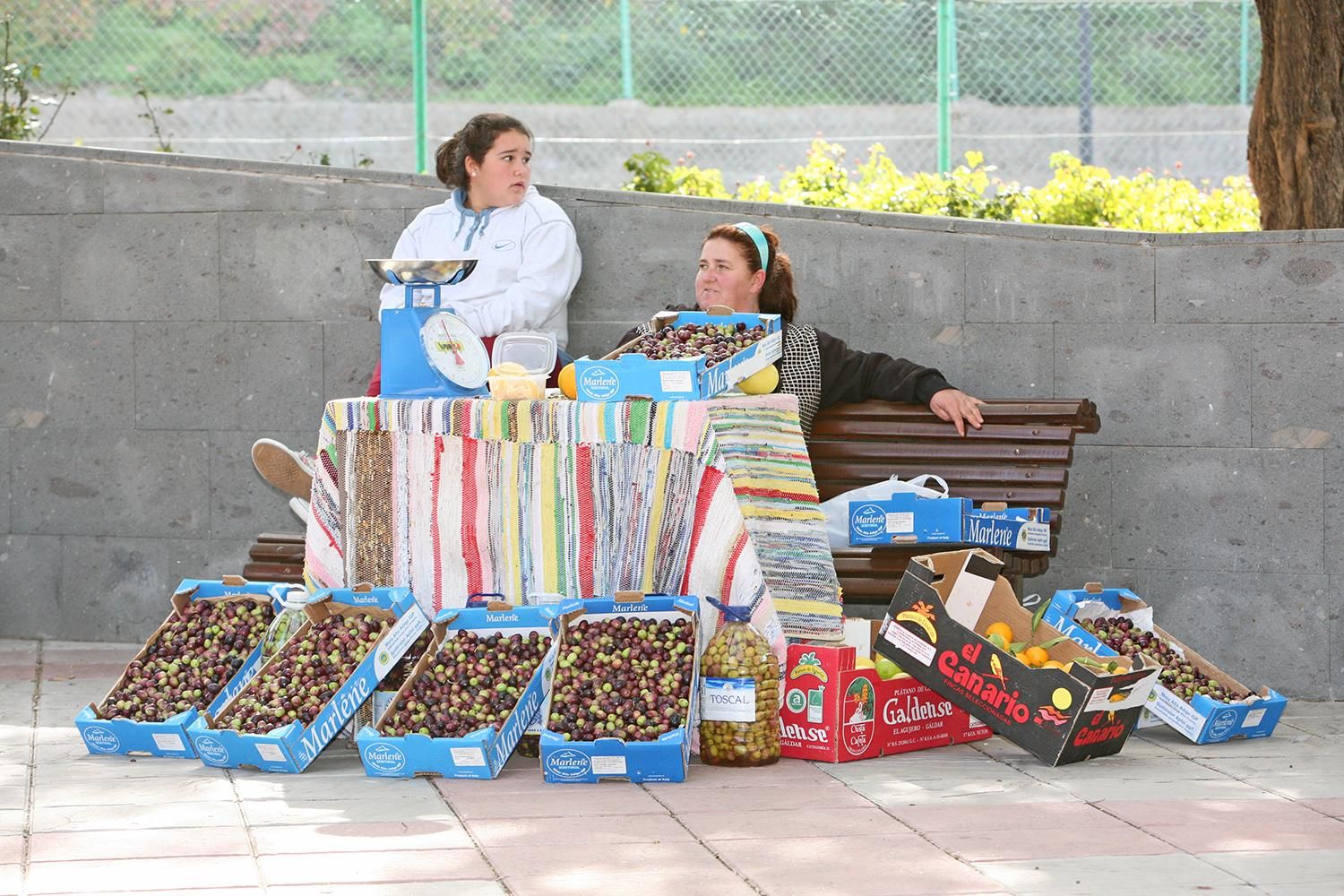 Fiestas de Santa Lucía | Alejandro Ramos