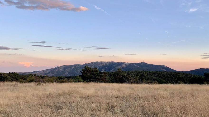 GALERÍA | La semana en imágenes