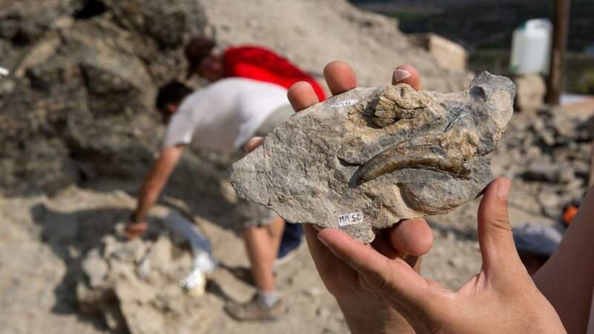 El equipo de paleontólogos Garras busca un dinosaurio bípedo herbívoro en La Rioja