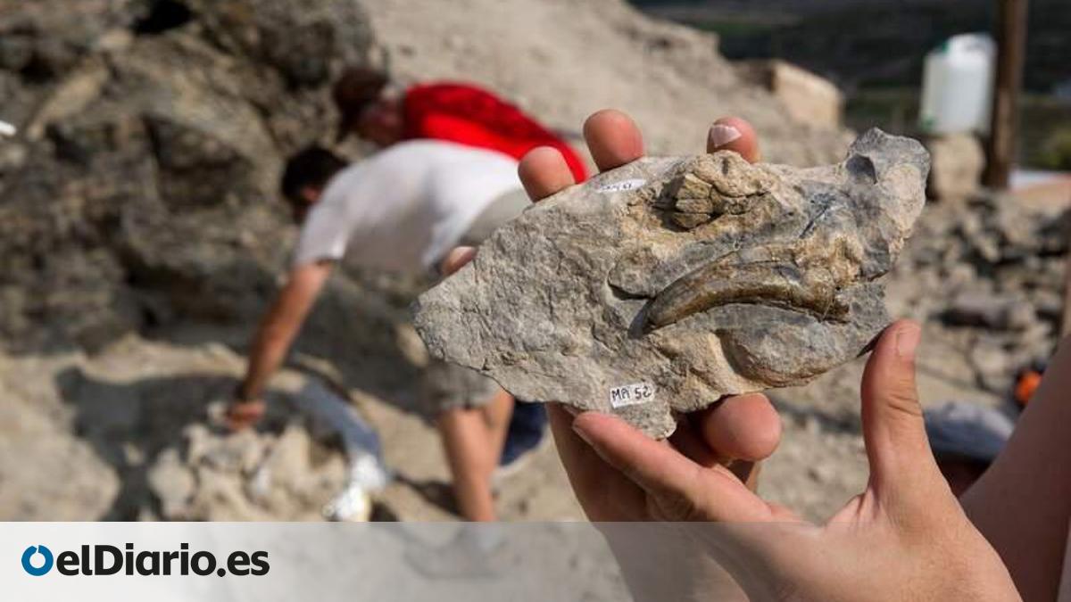 El equipo de paleontólogos Garras busca un dinosaurio bípedo herbívoro ...