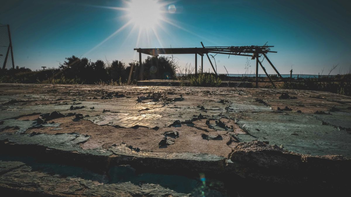 El 40% del suelo en España está degradado tras años de deterioro y la desertificación avanza casi sin posibilidad de revertirse