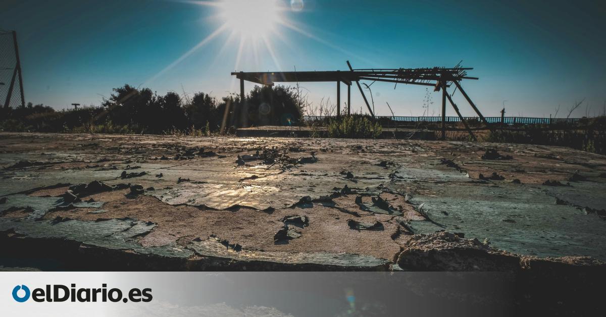 El 40% del suelo en España está degradado tras años de deterioro y la desertificación avanza casi sin posibilidad de revertirse