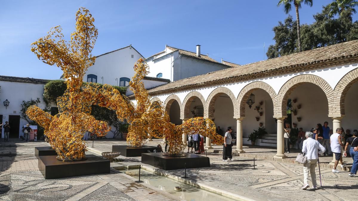 FLORA 2026 - Hamish Powell (Palacio de Viana)