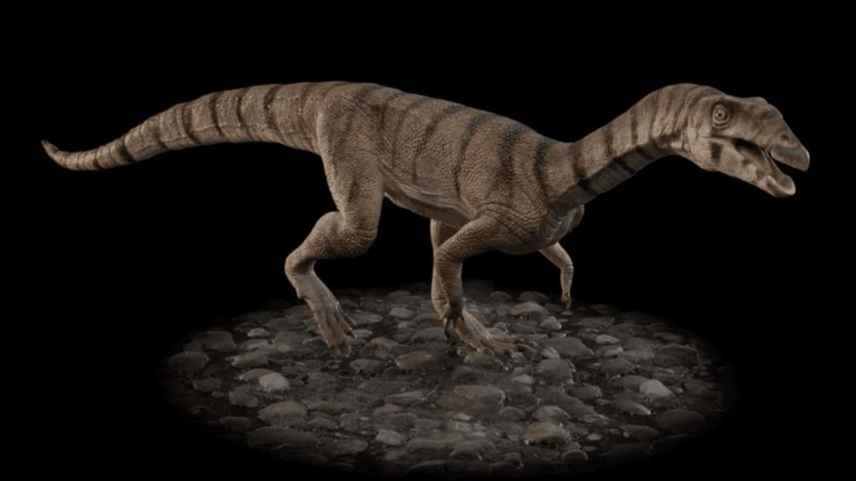 El nombre del reptil recordó la historia del lugar del hallazgo